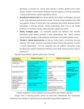 Airijos socialinė-verslo aplinka 19 puslapis