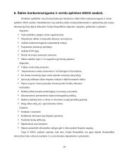 Airijos socialinė-verslo aplinka 20 puslapis