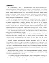 Airijos socialinė-verslo aplinka 3 puslapis