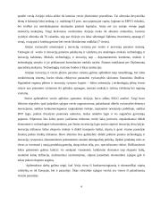 Airijos socialinė-verslo aplinka 4 puslapis