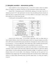 Airijos socialinė-verslo aplinka 5 puslapis