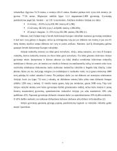 Airijos socialinė-verslo aplinka 7 puslapis