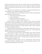 Airijos socialinė-verslo aplinka 9 puslapis