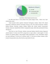 Airijos socialinė-verslo aplinka 10 puslapis