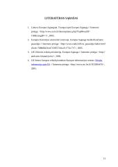 Bendra informacija apie dabartinę Europos Sąjungą (ES) 11 puslapis