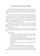 Bendra informacija apie dabartinę Europos Sąjungą (ES) 6 puslapis