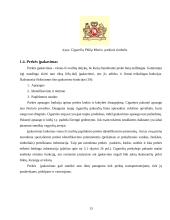 Cigarečių analizė pagal 4P marketingo kompleksą 13 puslapis