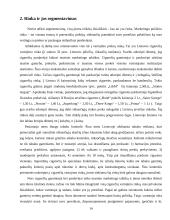 Cigarečių analizė pagal 4P marketingo kompleksą 14 puslapis