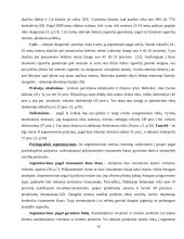 Cigarečių analizė pagal 4P marketingo kompleksą 16 puslapis