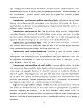 Cigarečių analizė pagal 4P marketingo kompleksą 17 puslapis