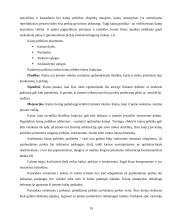 Cigarečių analizė pagal 4P marketingo kompleksą 19 puslapis