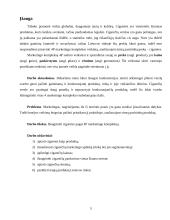 Cigarečių analizė pagal 4P marketingo kompleksą 5 puslapis