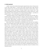 Cigarečių analizė pagal 4P marketingo kompleksą 6 puslapis