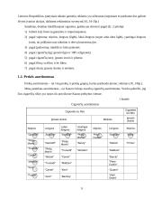 Cigarečių analizė pagal 4P marketingo kompleksą 9 puslapis