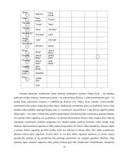 Cigarečių analizė pagal 4P marketingo kompleksą 10 puslapis