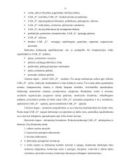 Darbuotojų adaptacija įmonėje 13 puslapis