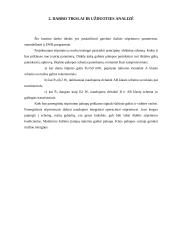 Garsinio dažnio stiprintuvas 4 puslapis