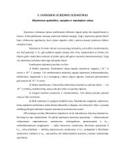 Garsinio dažnio stiprintuvas 5 puslapis