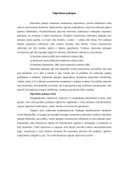 Garsinio dažnio stiprintuvas 6 puslapis