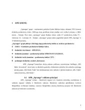 APB "Apranga" finansinė analizė 3 puslapis