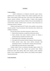 Įmonės situacijos ataskaita: UAB "Rigonda" 2 puslapis