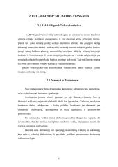 Įmonės situacijos ataskaita: UAB "Rigonda" 12 puslapis