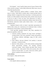 Įmonės situacijos ataskaita: UAB "Rigonda" 3 puslapis