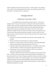 Įmonės strategijos analizė: Karo medicinos tarnyba 12 puslapis