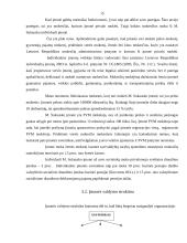 Individualios įmonės steigimas ir veiklos organizavimas: medienos apdirbimo ir pardavimo įmonė 15 puslapis