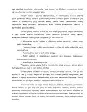 Individualios įmonės steigimas ir veiklos organizavimas: medienos apdirbimo ir pardavimo įmonė 5 puslapis