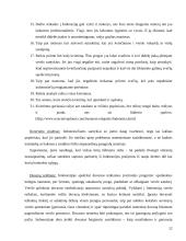 Indonezija 11 puslapis