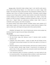 Indonezija 14 puslapis