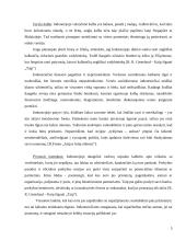 Indonezija 4 puslapis