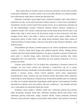 Indonezija 5 puslapis