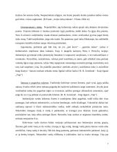 Indonezija 6 puslapis