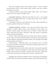 Indonezija 8 puslapis