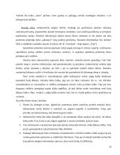 Indonezija 9 puslapis