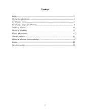 Infliacijos pasekmės ir jos priežastys 2 puslapis