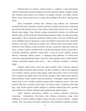 Infliacijos pasekmės ir jos priežastys 11 puslapis