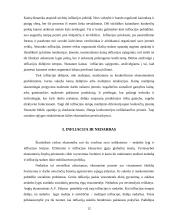 Infliacijos pasekmės ir jos priežastys 12 puslapis