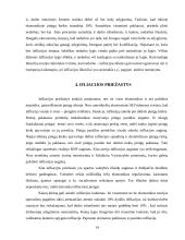 Infliacijos pasekmės ir jos priežastys 14 puslapis