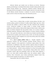 Infliacijos pasekmės ir jos priežastys 17 puslapis