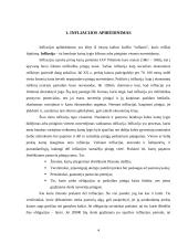 Infliacijos pasekmės ir jos priežastys 4 puslapis