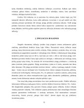 Infliacijos pasekmės ir jos priežastys 10 puslapis