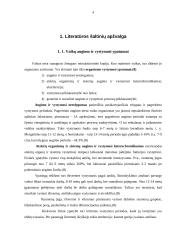Kauno rajono dziudo klubo "Nemunas" 8-11 metų dziudo imtynininkų bendras ir specialus fizinis pasirengimas 3 puslapis