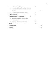 Lyderio vaidmuo formuojant komandos žaidėjų tarpusavio santykius 2 puslapis