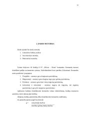 Lyderio vaidmuo formuojant komandos žaidėjų tarpusavio santykius 12 puslapis