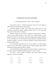 Lyderio vaidmuo formuojant komandos žaidėjų tarpusavio santykius 13 puslapis