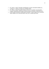 Lyderio vaidmuo formuojant komandos žaidėjų tarpusavio santykius 17 puslapis