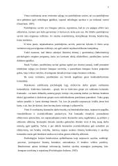 Lyderio vaidmuo formuojant komandos žaidėjų tarpusavio santykius 5 puslapis